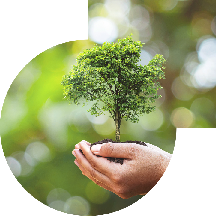 關懷人類、文化、環境與社會